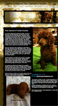 Mobile Screenshot of hawkersmagicalredstandardpoodles.com
